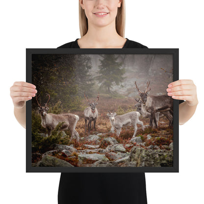 Wirvelvind Renen i den norra dimman