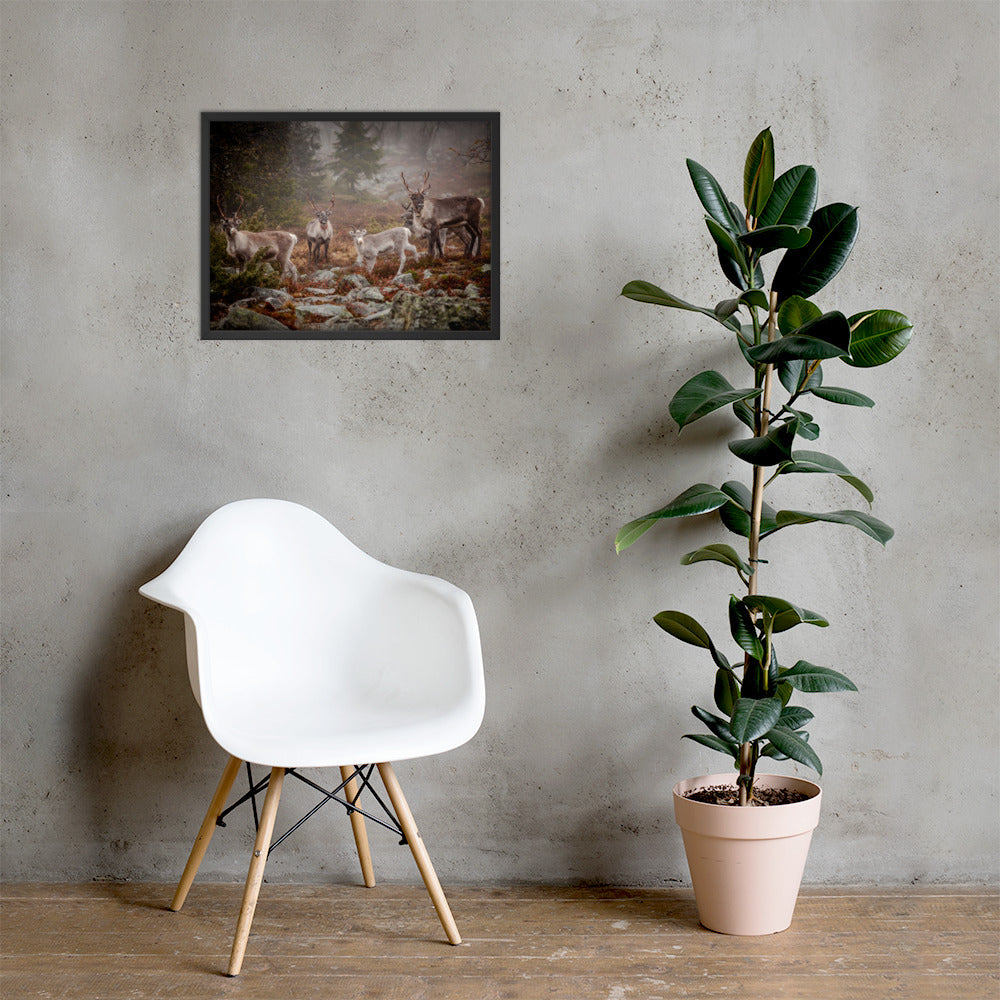 Wirvelvind Renen i den norra dimman