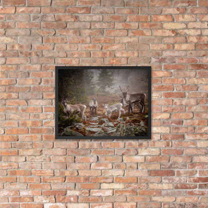 Wirvelvind Renen i den norra dimman