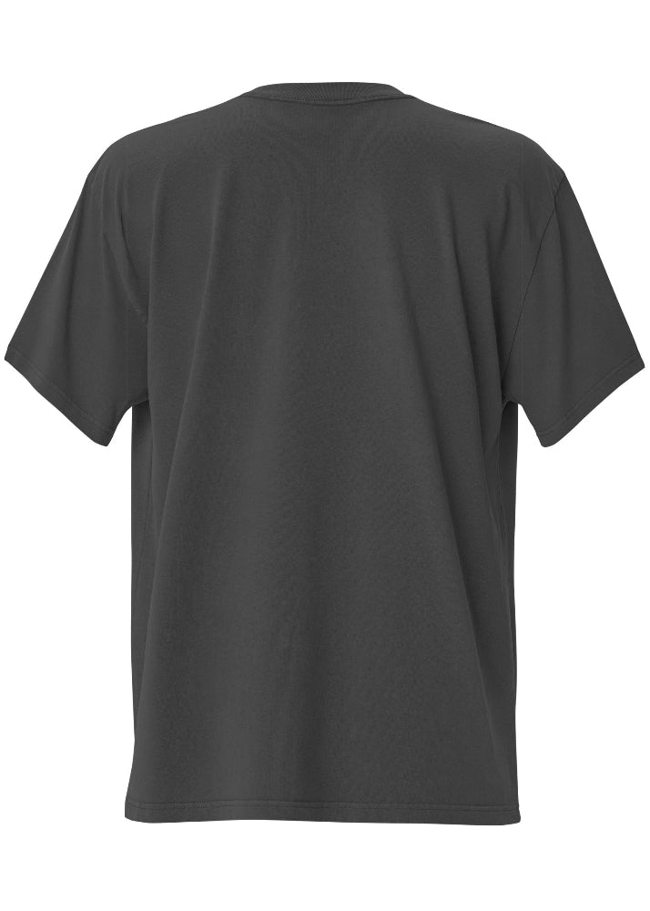 faded T-shirt med Wirvelvind fjäll- och vandringstryck