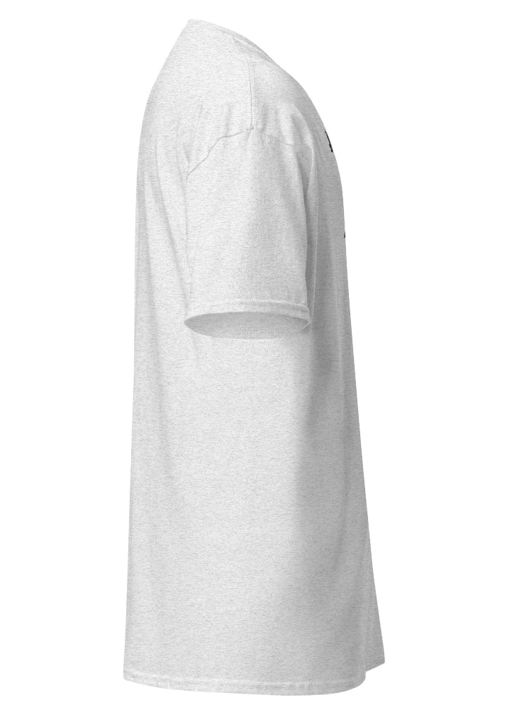 Herr T-shirt Ash Grey med John Brilliant Original Brand-tryck